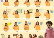 Baby Sign Language Australia Free Printable Chart