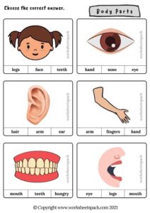 Body Parts Activities For Preschoolers Worksheetspack
