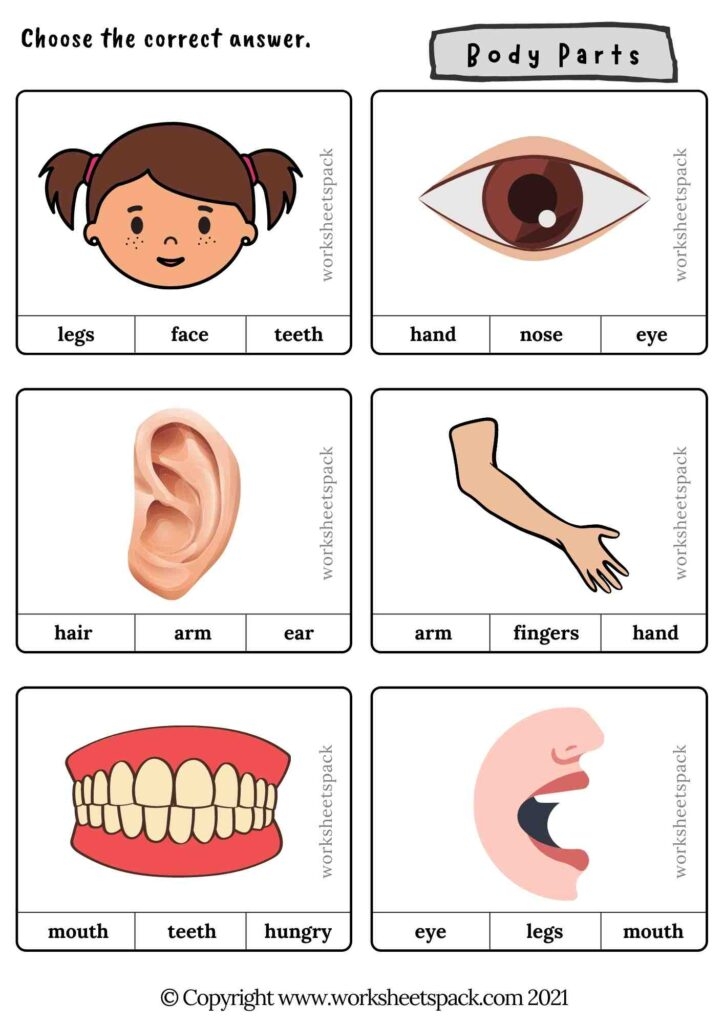 Body Parts Activities For Preschoolers Worksheetspack