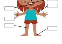 Free Printable Body Parts Worksheets For Preschool