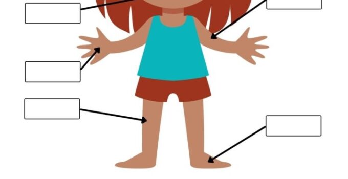 Free Printable Body Parts Worksheets For Preschool