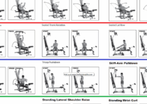 Printable Bowflex Workout Chart Free Download