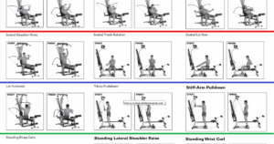 Bowflex Xtreme 2 Se Workout Plan