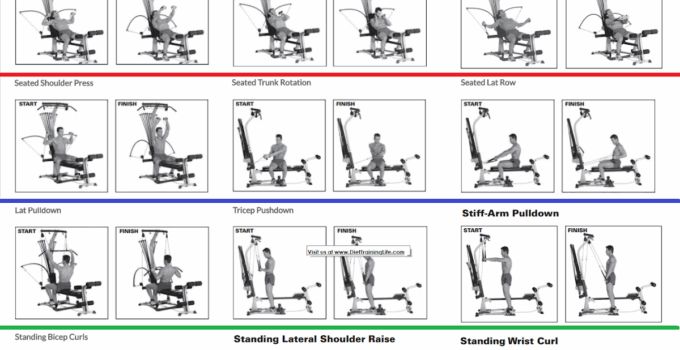 Printable Bowflex Workout Chart Free Download