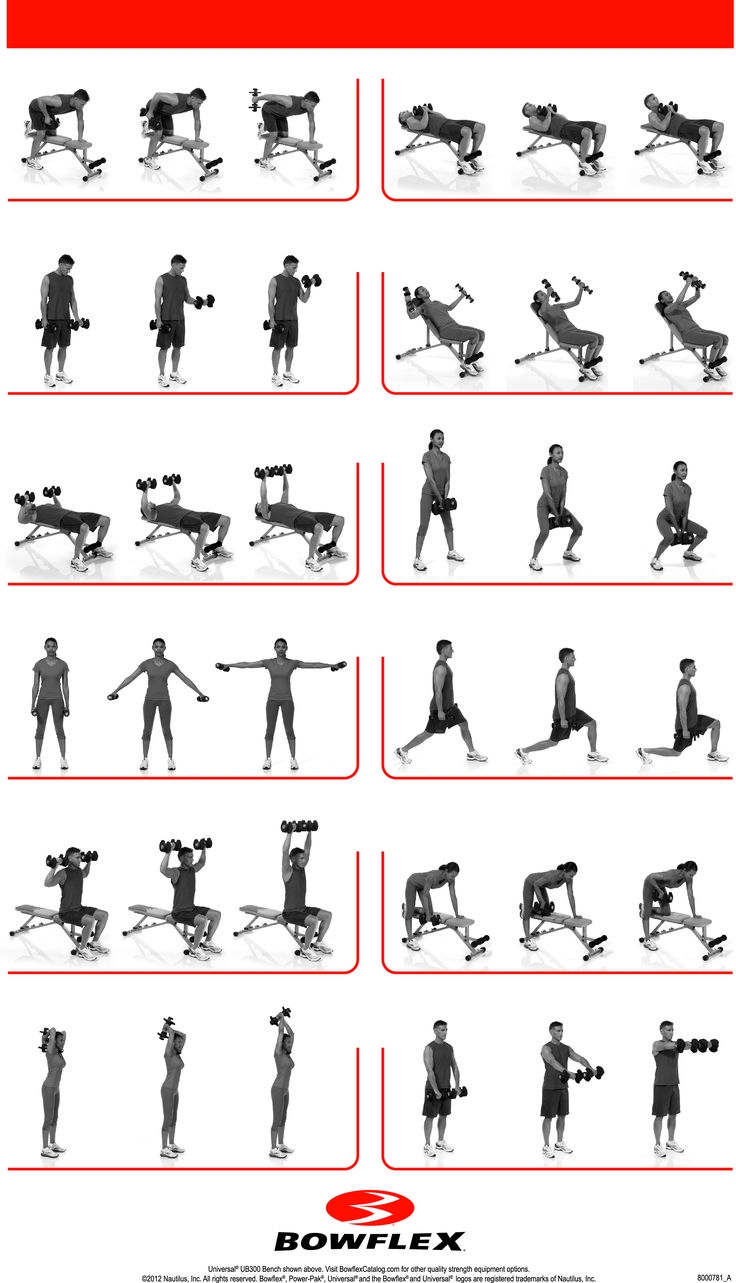 Bowflex Xtreme 2 Workout Routine