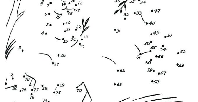 Free Dot To Dot Printable For Adults