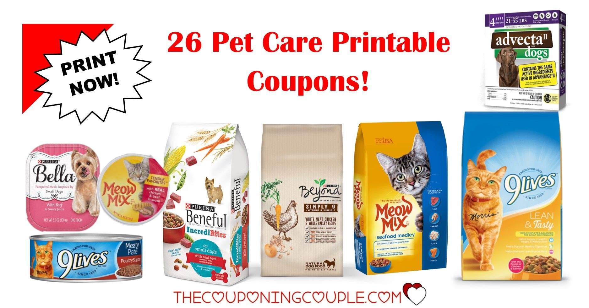 Dog Food Coupons Free Printable S oldvictheatre