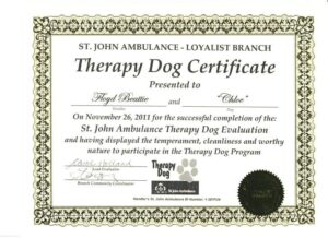 Fillable Blank Downloadable Free Printable Service Dog Certificate