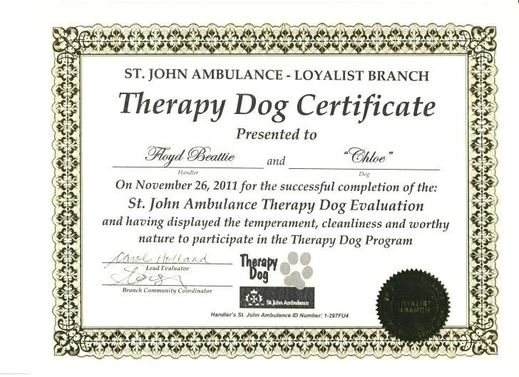 Fillable Blank Downloadable Free Printable Service Dog Certificate 