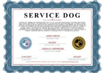 Free Printable Fillable Blank Service Dog Certificate