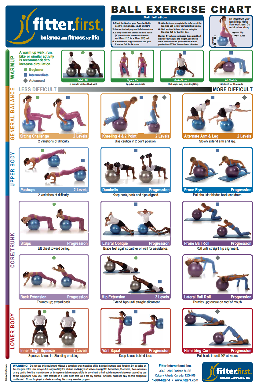 Fitterfirst Ball Exercise Chart Page 1 Absolute Health Incorporated