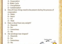 Free Printable Science Worksheets For 4Th Graders