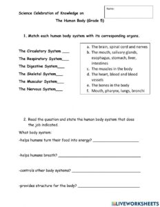 Free 5th Grade Science Worksheets