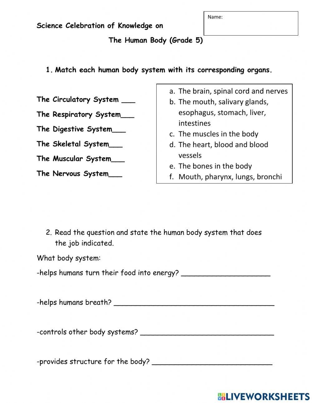 Free 5th Grade Science Worksheets