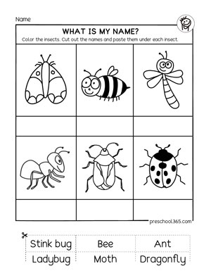 Free Printable Insect Worksheets For Preschoolers