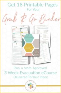 Free Grab And Go Binder Printables Printable Word Searches