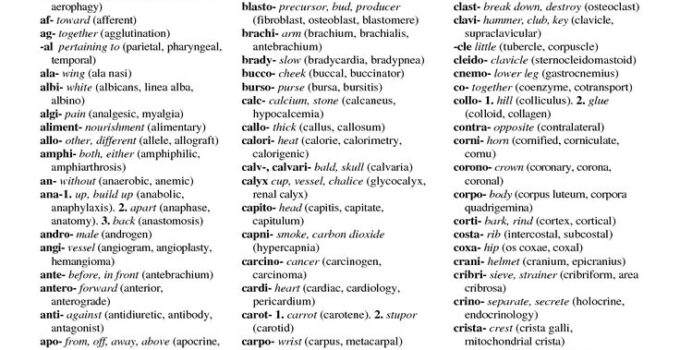 Free Printable Medical Terminology Study Guide