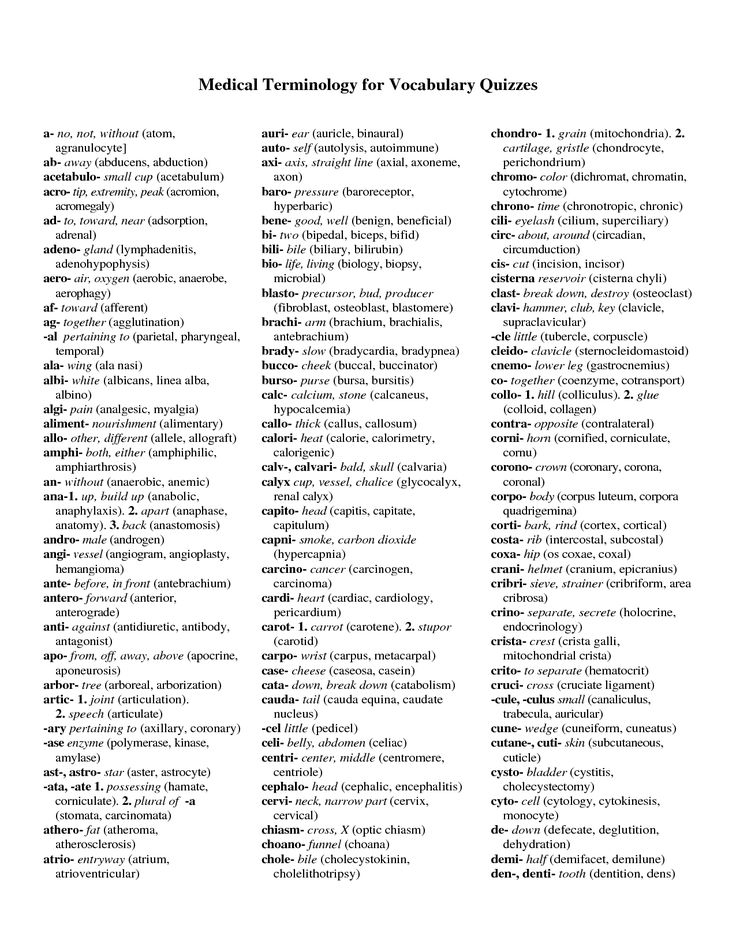 Free Medical Terminology Study Sheets Innoclever