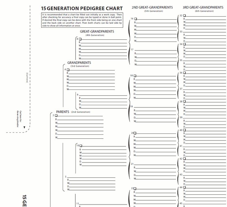 Free Printable 15 Generation Pedigree Chart Free Templates Printable