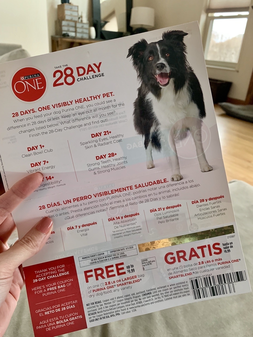 Free Printable Coupons For Dog Food