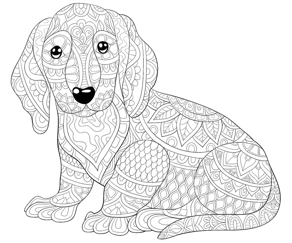 Free Printable Dog Coloring Pages For Kids Printable Dog Coloring