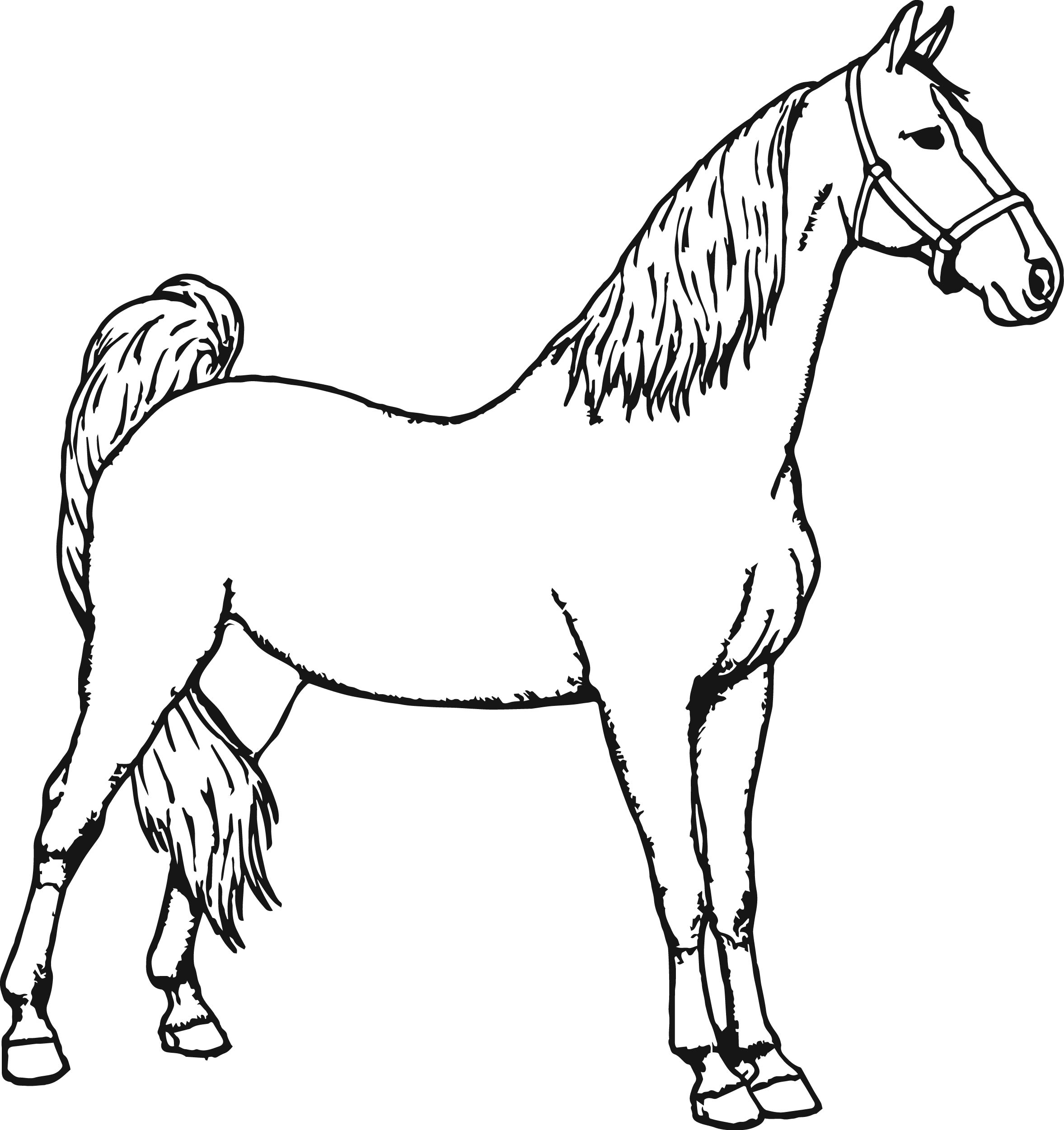 Free Printable Horse Coloring Pages At GetColorings Free 