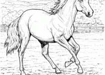 Free Printable Horse Pictures To Color