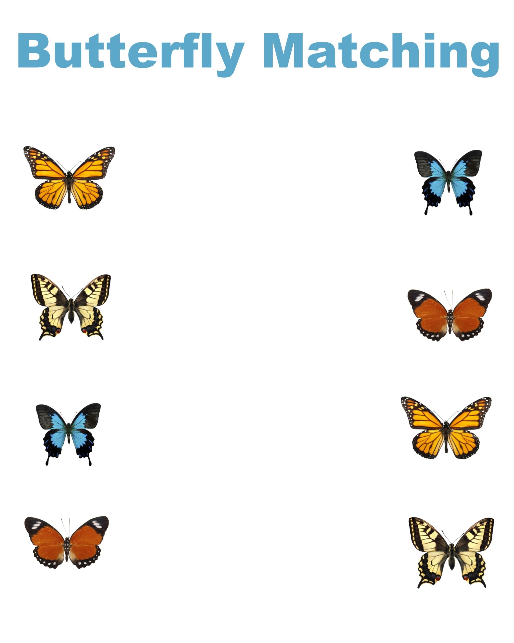 Free Printable Matching Worksheets