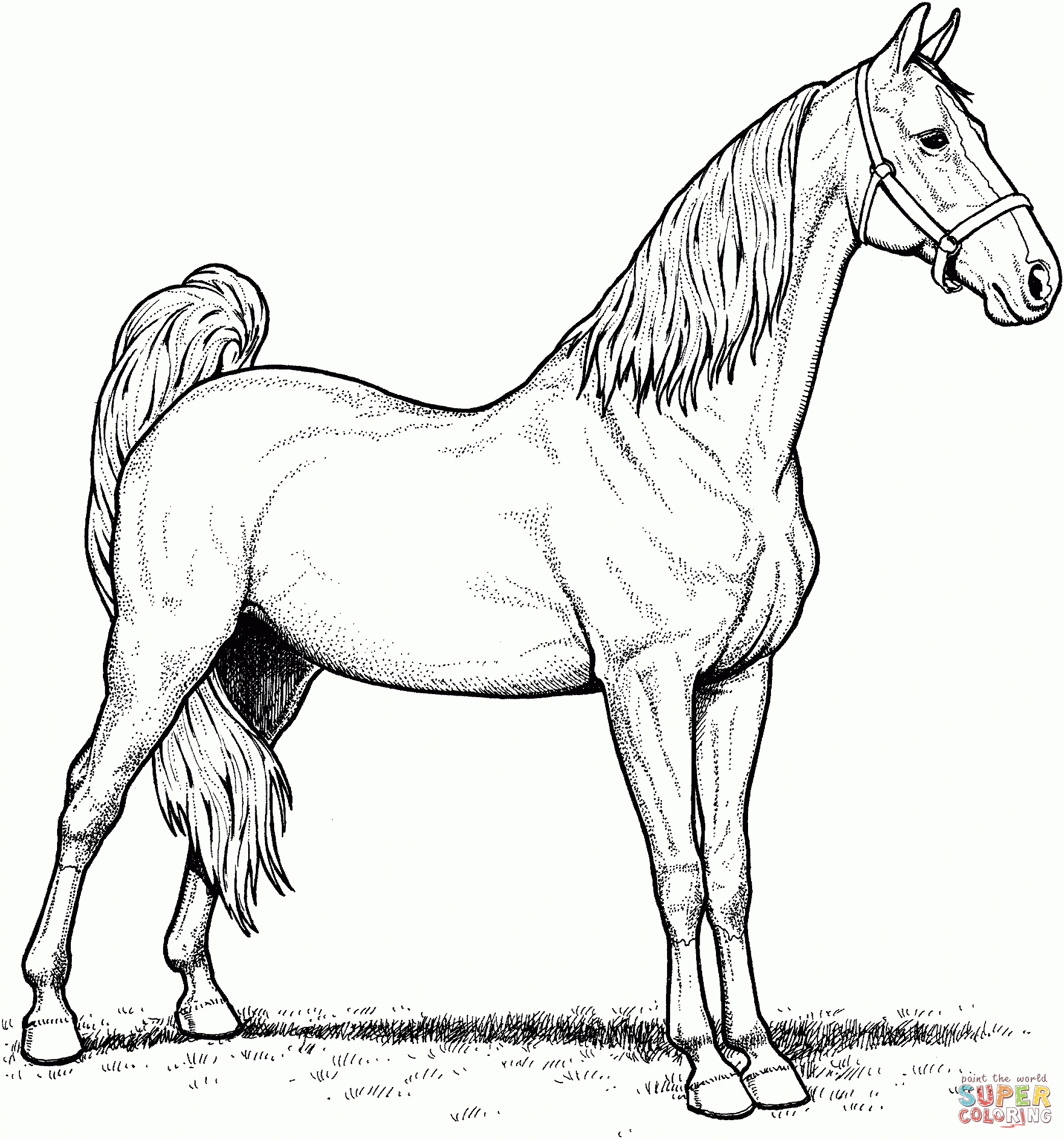 Free Printable Realistic Horse Coloring Pages Free Printable
