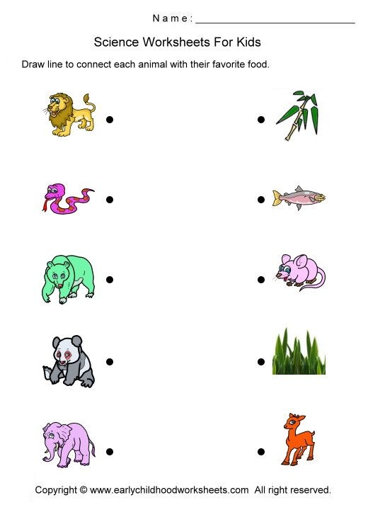 Free Printable Science Worksheets For Kindergarten