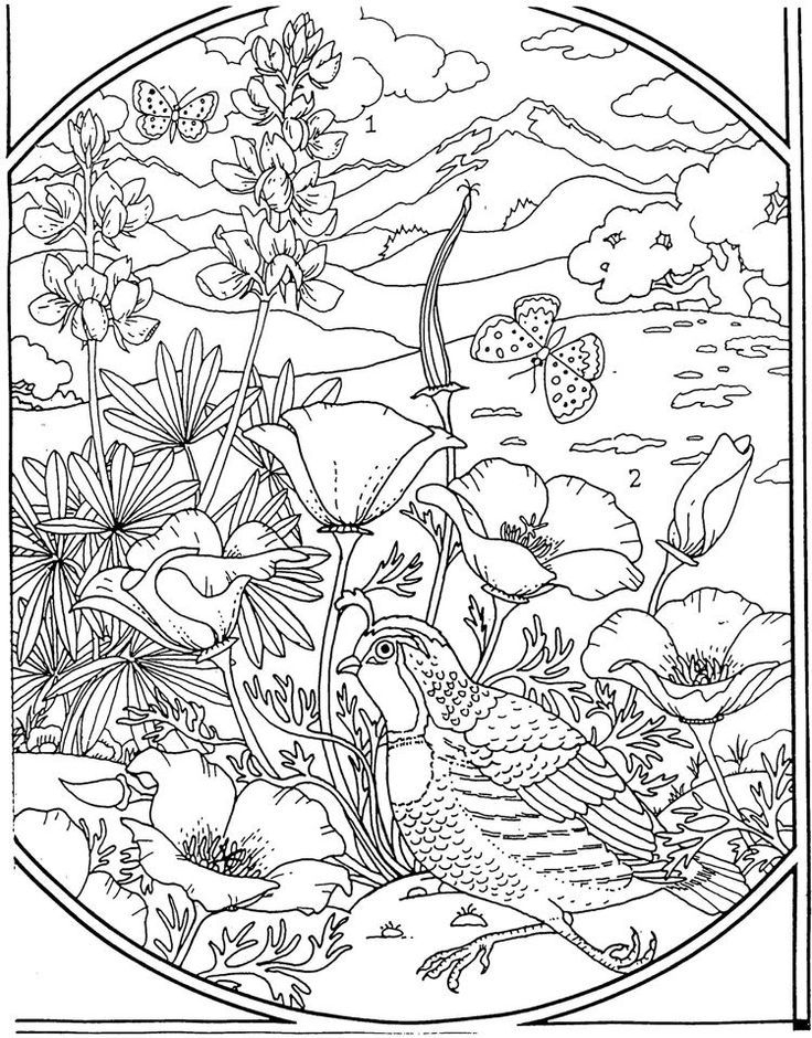 Free Printable Spring Coloring Pages For Adults At GetDrawings Free 