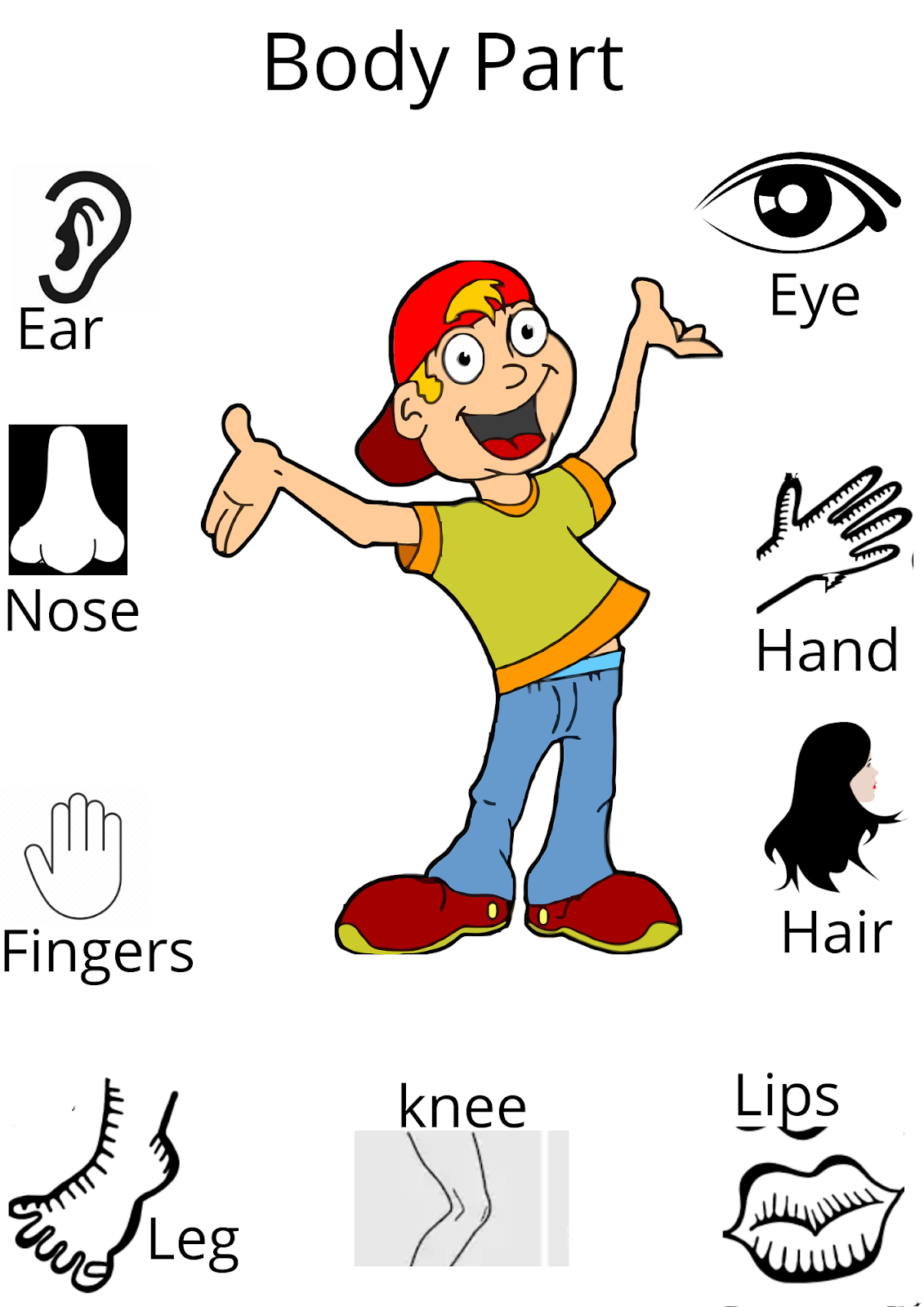 Free Printable Worksheets Preschool Body Parts Peggy Worksheets