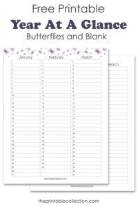 Free Printable Year At A Glance Calendar