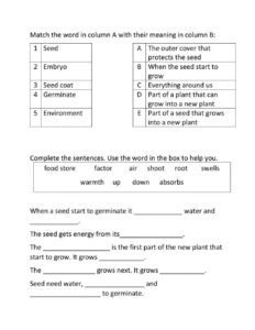 Free Science Worksheet For 4th Grade Download Free Science Worksheet