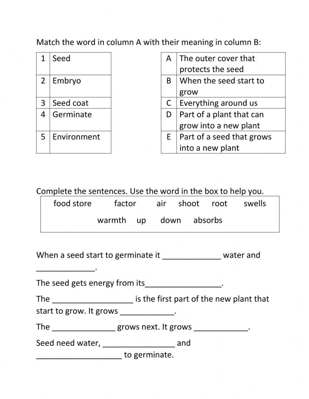 Free Science Worksheet For 4th Grade Download Free Science Worksheet 