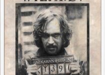 Harry Potter Wanted Posters Printable Free