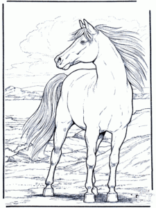Horse Coloring Free Animal Coloring Pages Sheets Horse