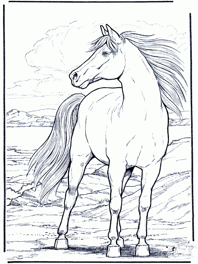 Free Printable Horse Pictures To Color