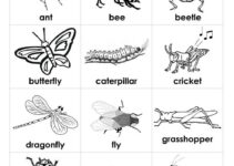 Free Printable Insect Worksheets For Preschoolers
