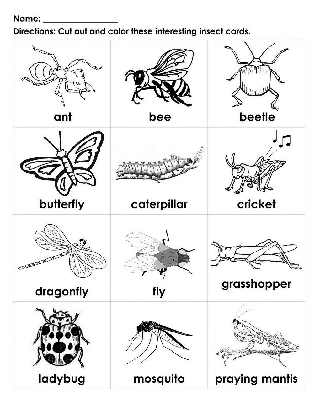 Insects Preschool Insect Worksheet Insect Worksheets