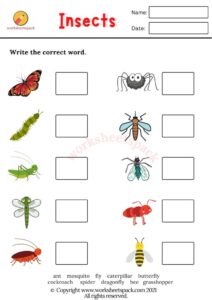 Insects Worksheets Printable And Online Worksheets Pack Worksheets