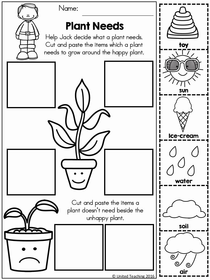 Kindergarten Science Worksheets Free Printable Scienceworksheets