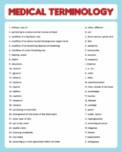Medical Terminology Worksheets Printable Artofit