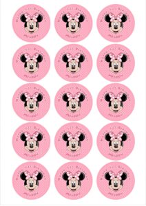 Minnie Mouse Fondant Cupcake Toppers