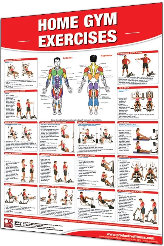 Multi Gym Exercises Google Search Home Gym Exercises Gym Workout 