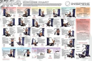 Multi Gym Workout Chart Download