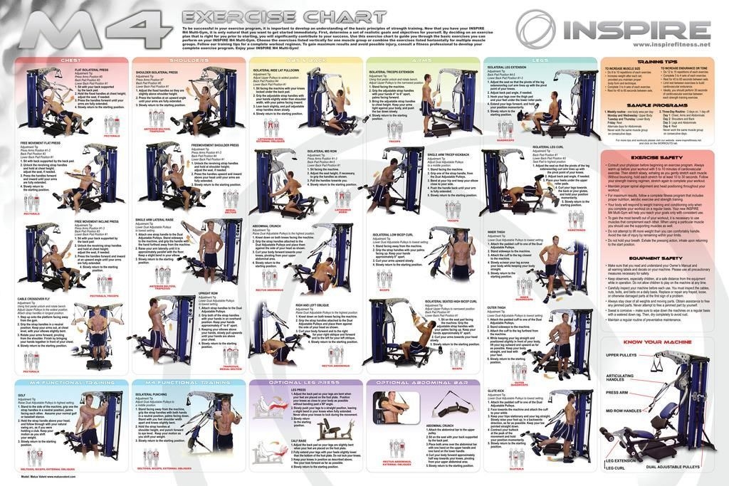 Printable Free Multi Gym Exercises Chart