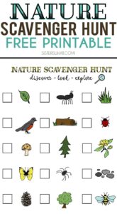 Nature Scavenger Hunt Worksheet