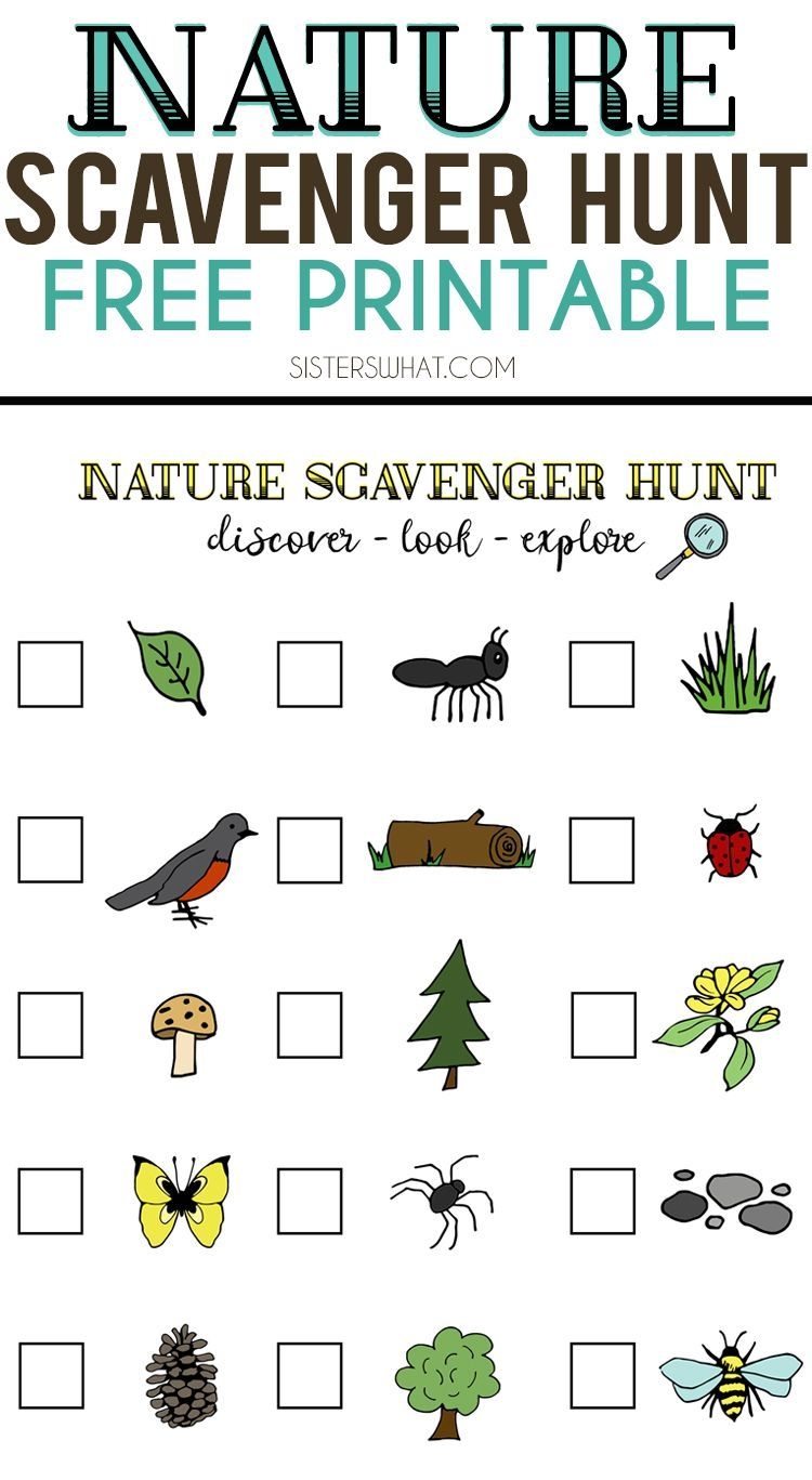 Nature Scavenger Hunt Worksheet
