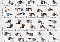 Free Printable Exercise Ball Workout Chart